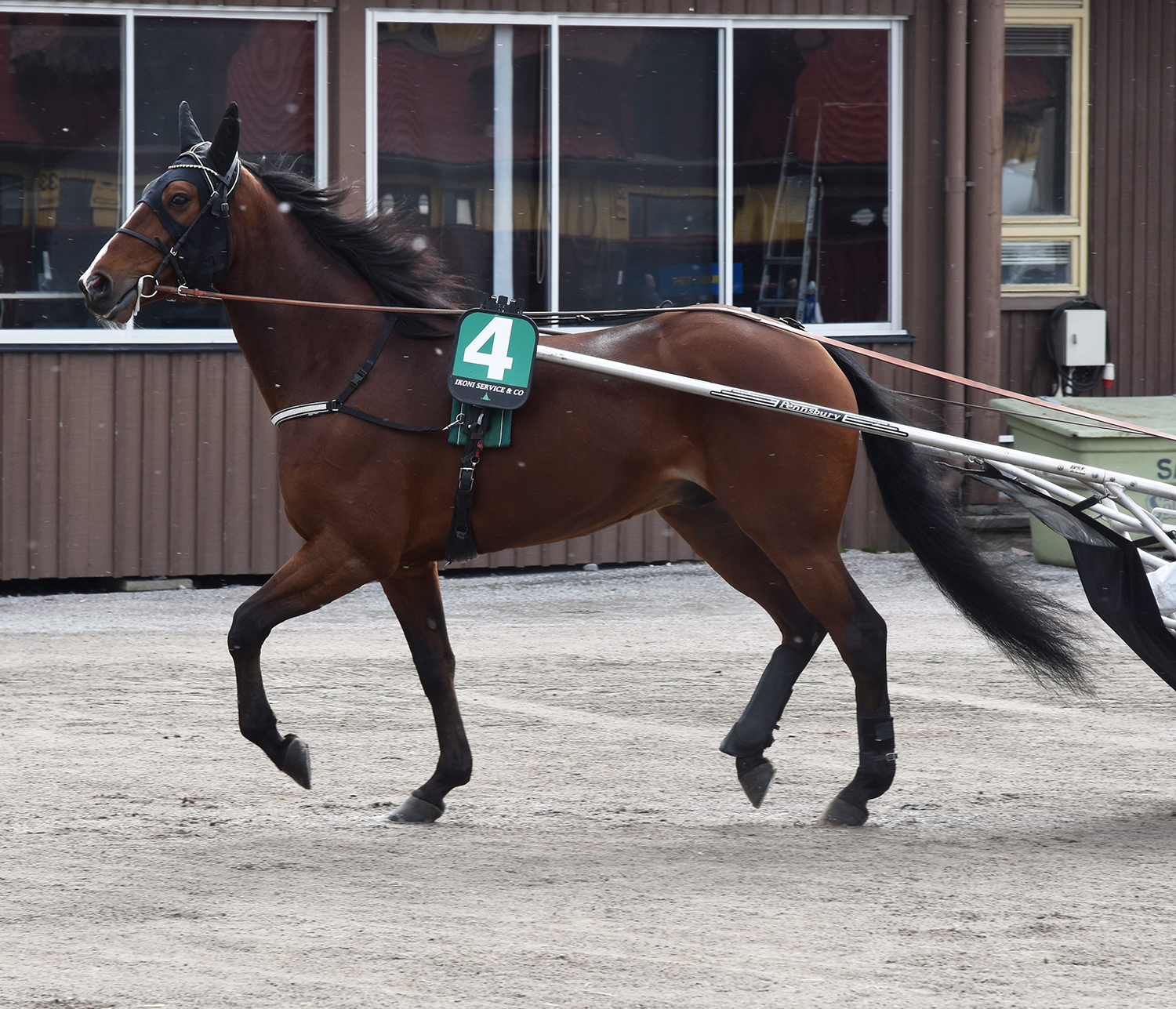 Even Younger 240421-9